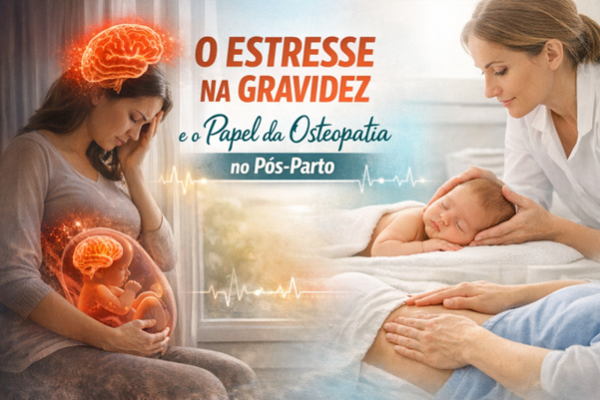 o estresse na gravidez